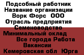 Подсобный работник › Название организации ­ Ворк Форс, ООО › Отрасль предприятия ­ Семеноводство › Минимальный оклад ­ 30 000 - Все города Работа » Вакансии   . Кемеровская обл.,Юрга г.